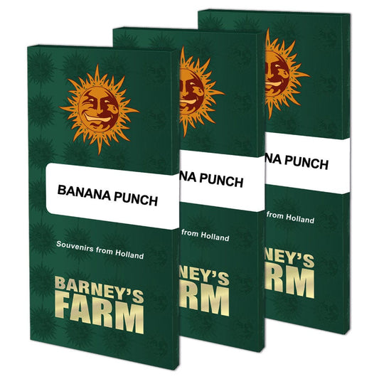 Barney's Farm Banana Punch