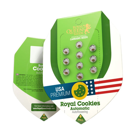 RQS Royal Cookies Auto