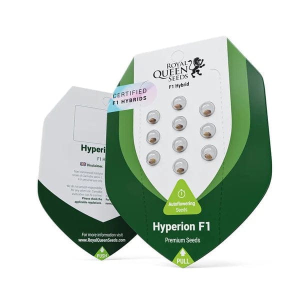 Royal Queen Seeds Hyperion F1